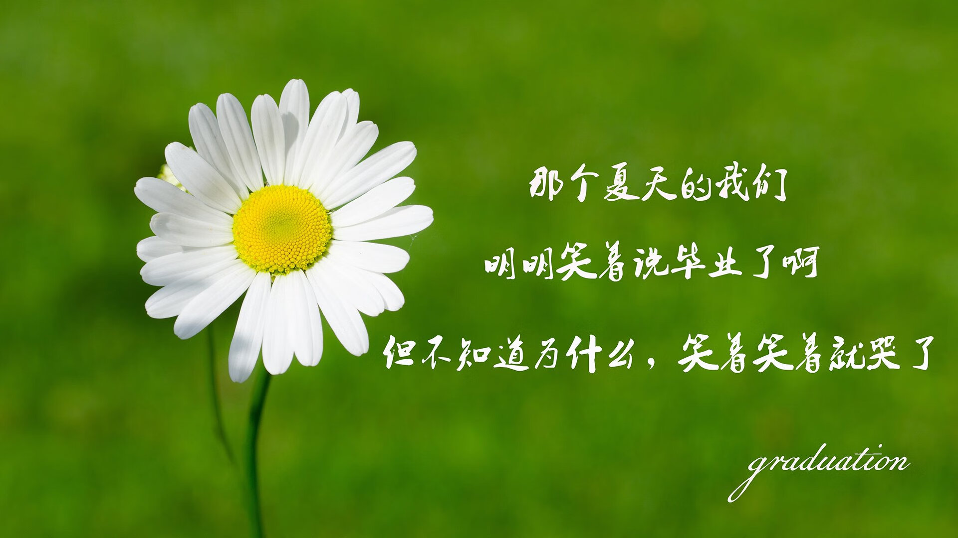 从巴斯托尼的制导导弹到苏格兰的精密齿轮，现代足球的两种胜利方程式