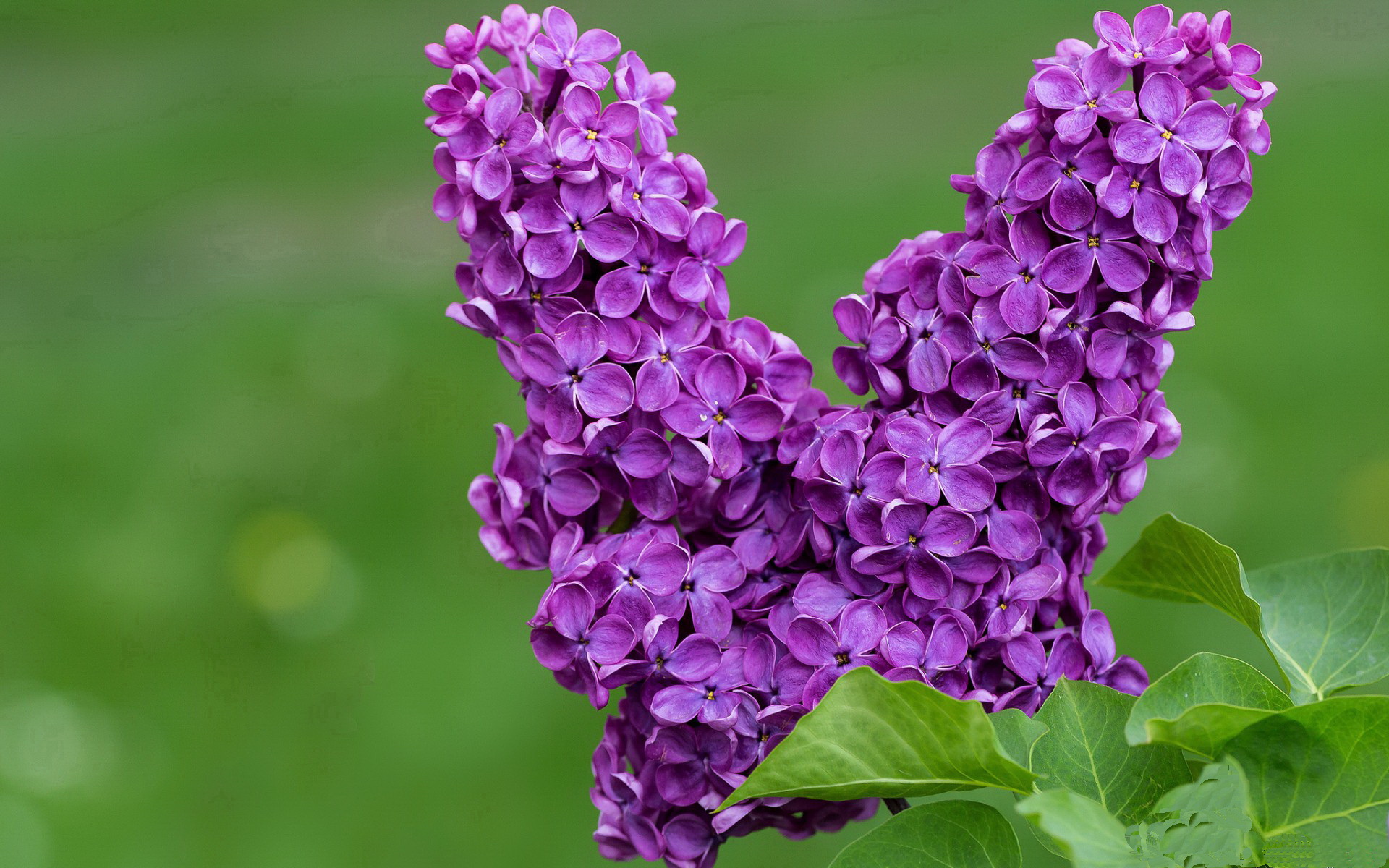 节奏的博弈与瞬间的锋芒