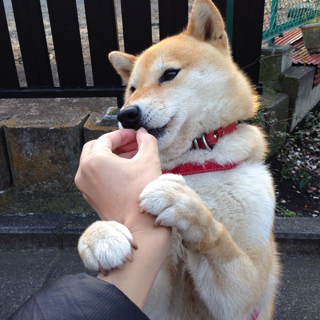北京寒夜，霍勒迪点燃五棵松