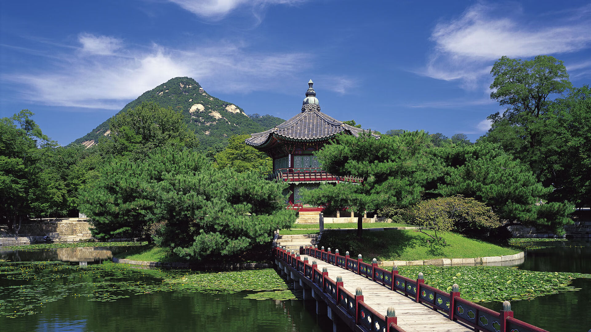 篮球迷狂喜！当吉林队穿越麦迪逊，一场世纪魔幻对决，欧文赛后评分为何拉满？