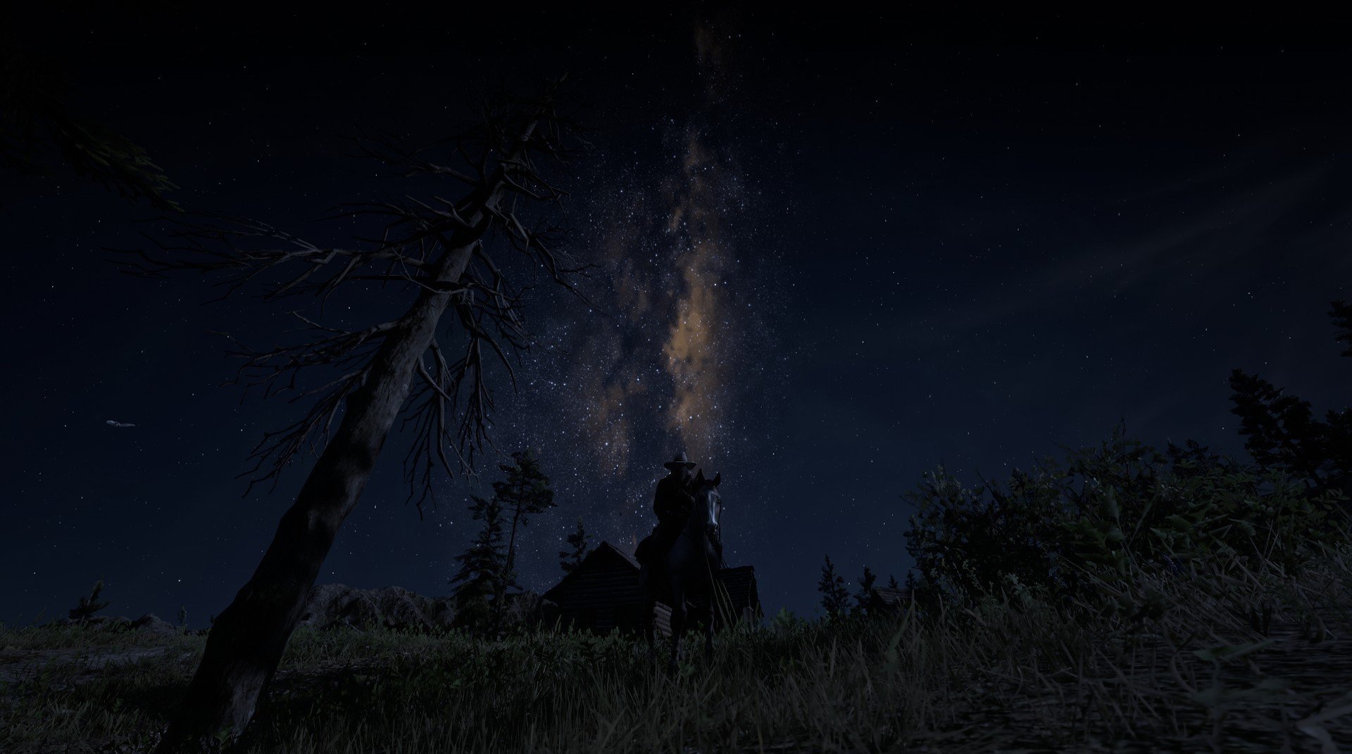 逆境中绽放的火焰，拉亚的怒吼与澳大利亚足球的不屈黎明