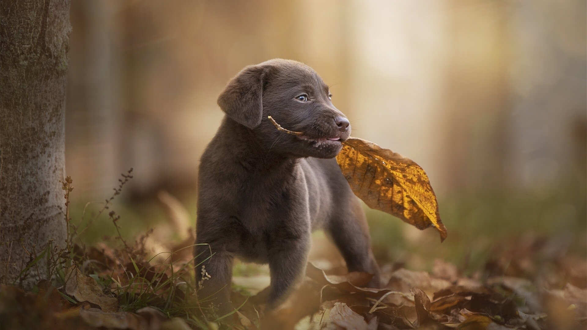 无法复刻的48分钟，论竞技体育中唯一性的永恒魅力