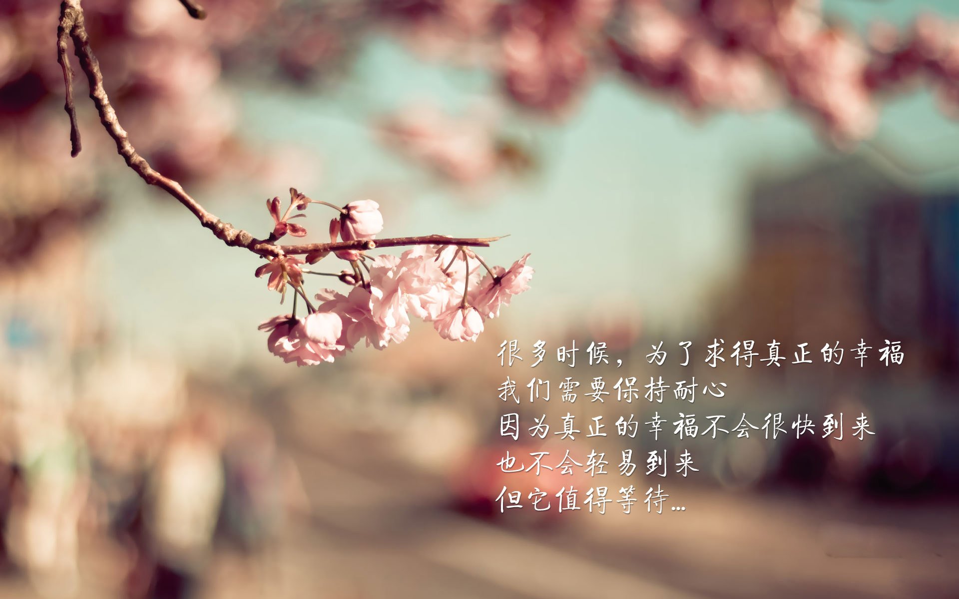 秘鲁旋风掀翻东欧铁骑，塔雷米独造三球，闪电反击撕碎斯洛伐克防线