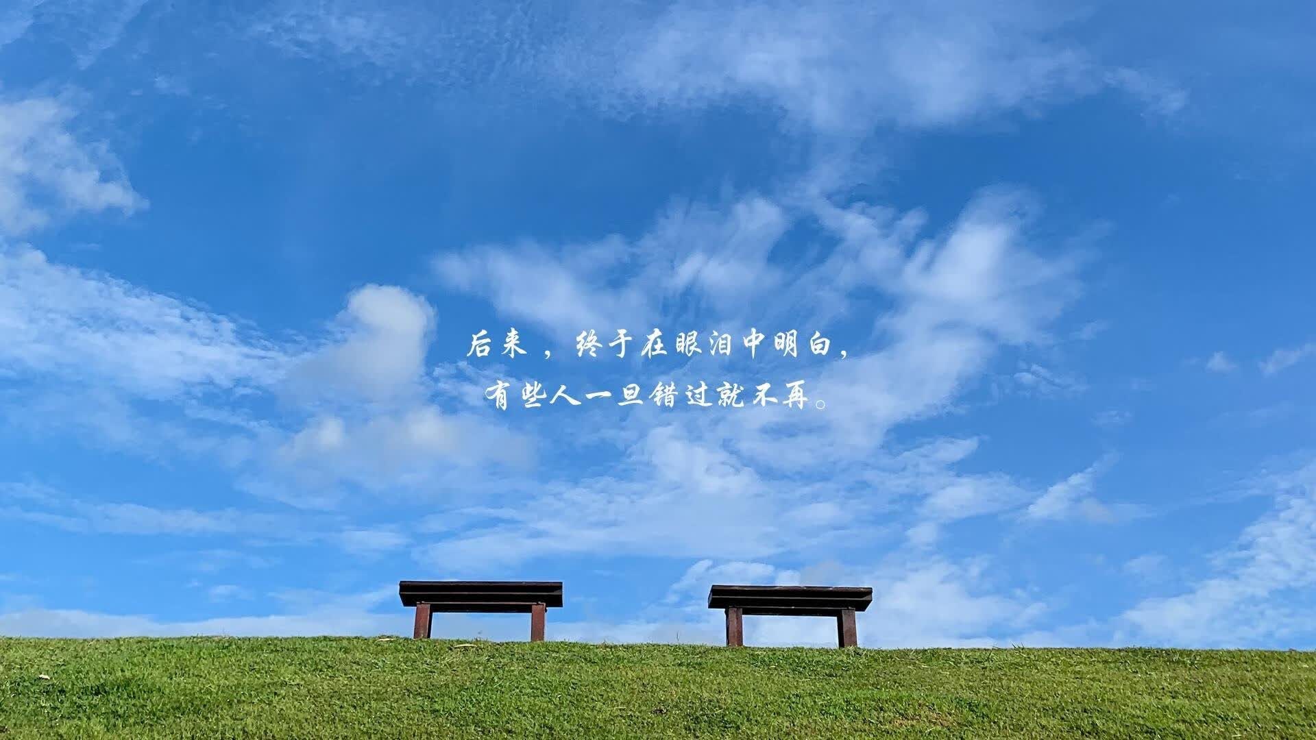 铁幕下的唯一战术,2026世界杯F组关键战,伊拉克为何能用一场完胜撕碎乌拉圭的百年荣光